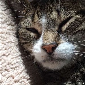 Meet your Posher, Hannah